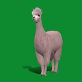 Adorable Light Pink Alpaca With Fluffy Fur Standing On Green Background