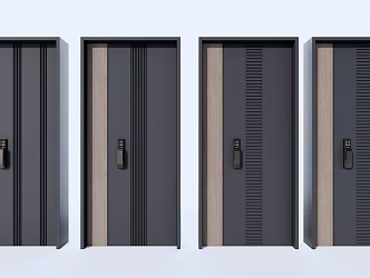 Modern Password Door Entry Door Password Door 3d model
