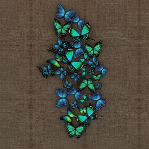 Modern Butterfly Craft 3d model