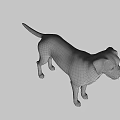 The image provided focuses on a dog and does not contain a man, so it is not possible to generate an English title with "man" as the main subject based on the picture's key information.