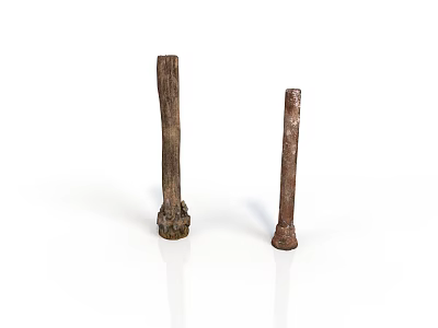 Pair of Antique Architectural Columns With Textured Surface And Ornate Bases 3d model