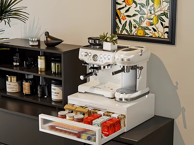 Black Storage Shelf Unit with Organized Jars Bottles and White Coffee Machine in Modern Kitchen 3d model
