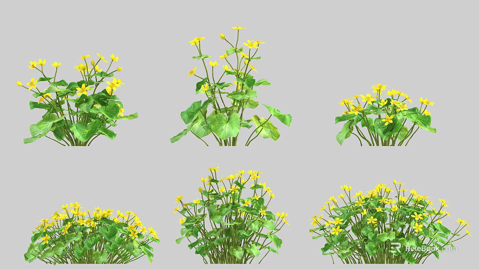Vibrant Yellow Flowers With Green Leaves In Different Natural Arrangements 3d model 