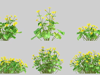 Vibrant Yellow Flowers With Green Leaves In Different Natural Arrangements 3d model