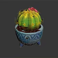 Cartoon Cactus Scene With Pink Flower Yellow Spines Blue Pot Geometric Patterns And Three Feet