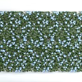 Vibrant Green Plant Wall with Lush Foliage and Blue Flowers Decoration