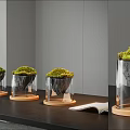 Modern Bonsai Planter With Transparent Glass Container Green Moss And Wooden Base On Dark Table