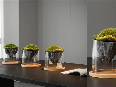 Modern Bonsai Planter With Transparent Glass Container Green Moss And Wooden Base On Dark Table 3d model