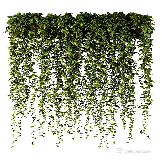 Lush Green Trailing Vines as Hanging Garden Decor Adding Natural Charm 3d model 