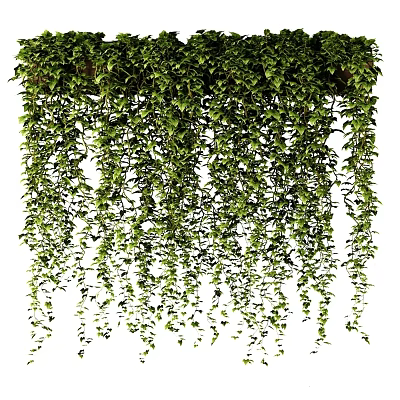 Lush Green Trailing Vines as Hanging Garden Decor Adding Natural Charm 3d model