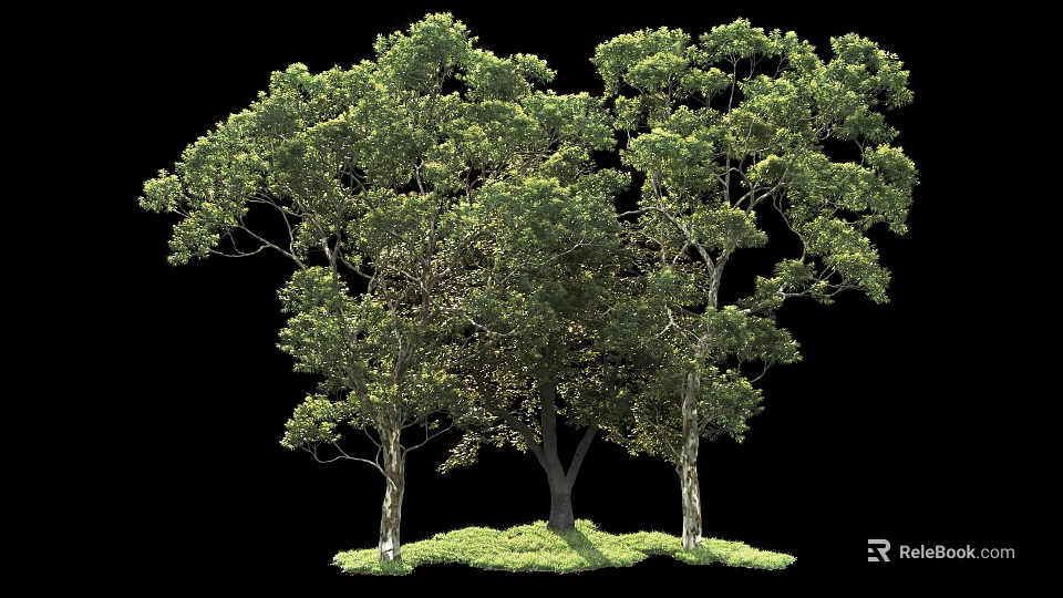 Lush Arbor Trees With Green Foliage And Sturdy Trunks On Grass 3d model