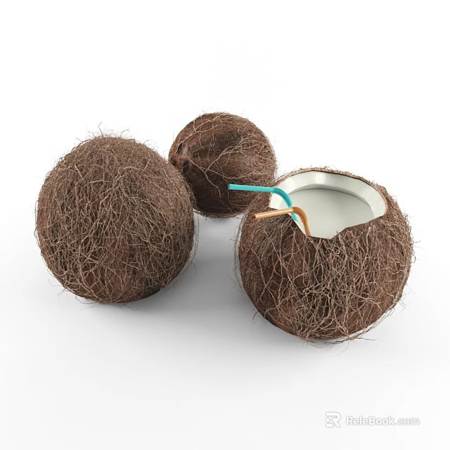 Three Fresh Hairy Brown Coconuts With One Opened Coconut Juice Inside And Colorful Straws Inserted 3d model 