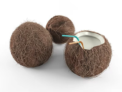 Three Fresh Hairy Brown Coconuts With One Opened Coconut Juice Inside And Colorful Straws Inserted 3d model