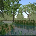 Perfect Serene Natural Landscape With Clear Calm Pond Lush Green Trees And Vibrant Aquatic Plants