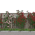 Lush Climbing Vines Covering Wooden Fence With Red Pink Flowers In Garden Under Blue Sky