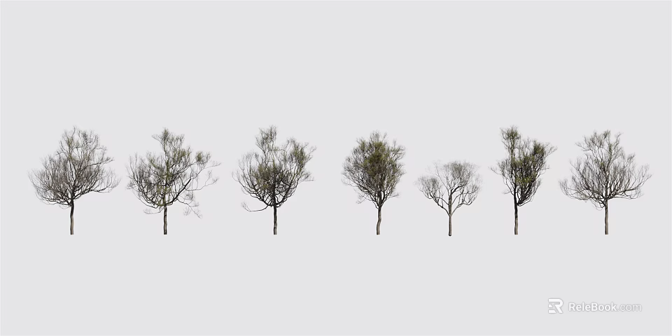 Five Arbor Varieties With Diverse Branch Foliage On White Background 3d model