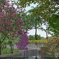 Lush Garden Landscape With Purple Flowers Green Trees Water Feature And Colorful Blooms
