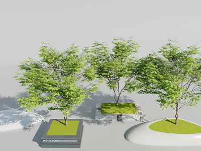 Contemporary Tree Pit Design With Green Trees Square Circular Lawn And Decorative Borders 3d model