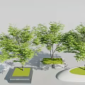 Contemporary Tree Pit Design With Green Trees Square Circular Lawn And Decorative Borders