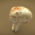 Fresh Natural Mushroom With White Cap Brown Spots And Smooth Stem On Plain Brown Background