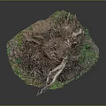 Artistic Tree Root Sculpture With Green Moss And Natural Base Structure 3d model
