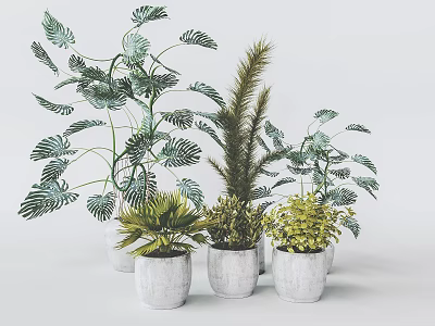 Bonsai Potted Plants with Monstera Palm Leaves in White Ceramic Pots for Indoor Decor 3d model