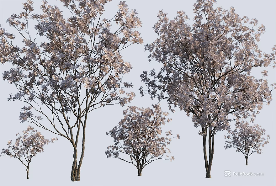 Natural Blooming Trees With Various Sizes Branches And Pink Flowers In Landscape 3d model 