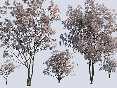 Natural Blooming Trees With Various Sizes Branches And Pink Flowers In Landscape 3d model