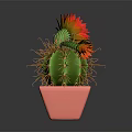 Green Cactus With Yellow And Red Flowers In Pink Decorative Pot
