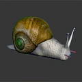 Detailed View of Snail with Brown Yellow Shell Striped Body on Dark Background with Reflection