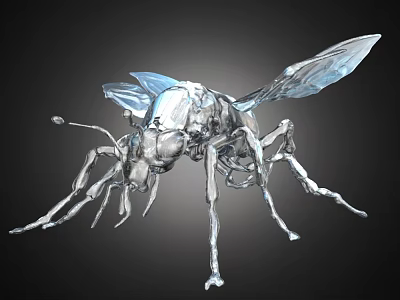 Silver Metallic Flying Animal With Transparent Wings And Mechanical Sci Fi Insect Form 3d model