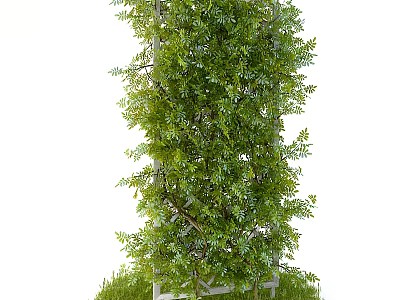 Decorative Green Plant Covered Partition With White Frame And Grass Base 3d model