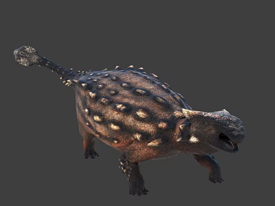 Realistic Prehistoric Ankylosaurus Dinosaur With Armored Body Brown Spots And Open Mouth 3d model