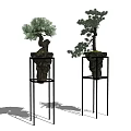 Decorative Bonsai Trees on Black Metal Stands in Minimalist Light Gray Background