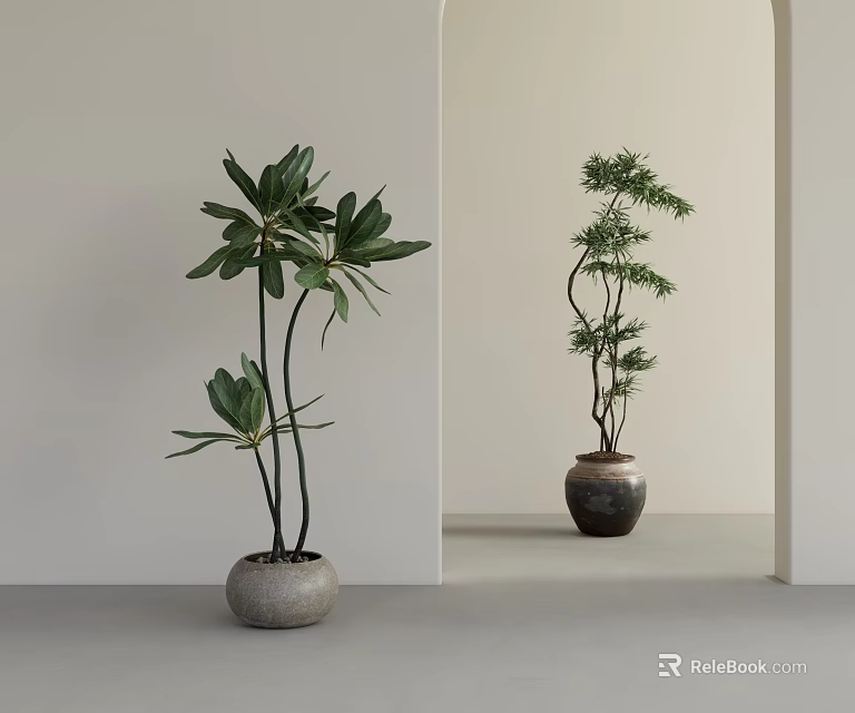 Broadleaf and twisted pine Bonsai Potted Plants in ceramic pots on light floor 3d model