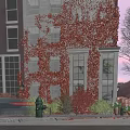Elegant Swing Door On Building Facade With Red Ivy And Evening Street Lamp