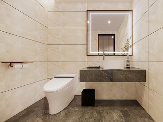 Modern Hotel Toilet 3d model