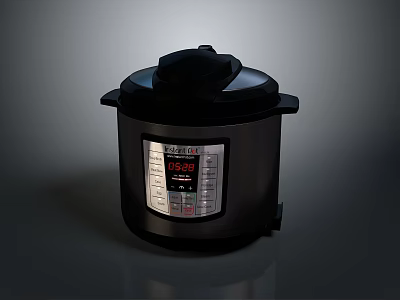 Black Electric Pressure Cooker With Digital Control Panel And 3d model