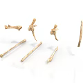 Various Animal Skeletal Remains Featuring Different Bone Types Shapes And Structures