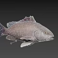 Silver Aquatic Fish Featuring Reticulated Scales And Yellow Eyes Against Dark Background