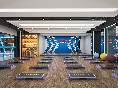 Bright Fitness Studio With Step Platforms Wooden Floor Blue X Logo And Fitness Balls 3d model