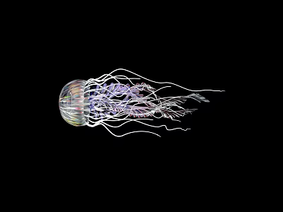 Graceful Transparent Jellyfish With Vibrant Purple Tentacles Floating On Dark Background 3d model