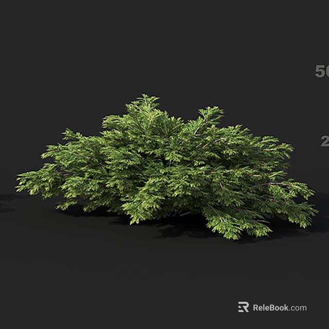 Lush Green Arbor With Dense Foliage And Graceful Branch Structure 3d model