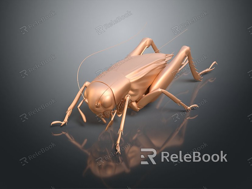 Modern crickets Sha-katydid cricket insects model