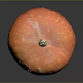 Stacked Orange And Yellow Pumpkins With Textured Surface On Gray Background