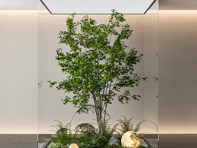 Modern Indoor Green Space With Glass Enclosed Trees And Ferns 3d model