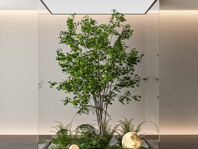 Indoor plant landscaping model