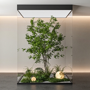 Indoor plant landscaping 3d model