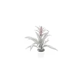White Vase With Red Flower And Long Green Leaves Decorative Indoor Plant