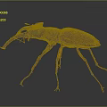 Reddish Brown Beetle With Prominent Mandibles And Slender Legs Isolated On Dark Background